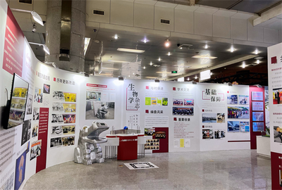 专业会展策划服务 安徽斯百德一站式展会展览解决方案与企业形象设计